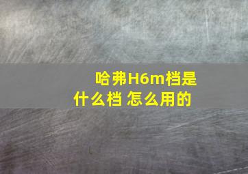 哈弗H6m档是什么档 怎么用的